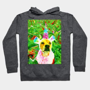 I'm A Unicorn Inside Hoodie